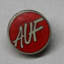 AUF pin gitt av Eli Anne Hole
