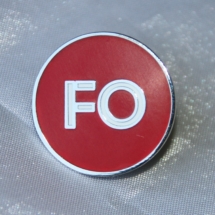 Nyeste Fellesorganisasjonen ny logo pin