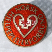 Norsk Hjelpepleierforbund etb 1965 skiftet i 1995 navn til Norsk Helse og sosialforbund