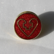 Norsk Helse og sosialforbund pin