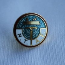 Norsk Treindustriarbeiderforbund pin