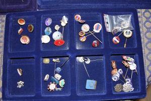 Pins samling 6 september 002