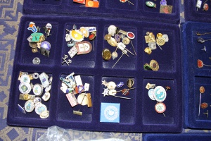 Pins samling 6 september 004