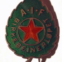 aif-birkebeinerlopet