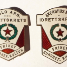 oslo-og-akershus-arbeideridrettskretser