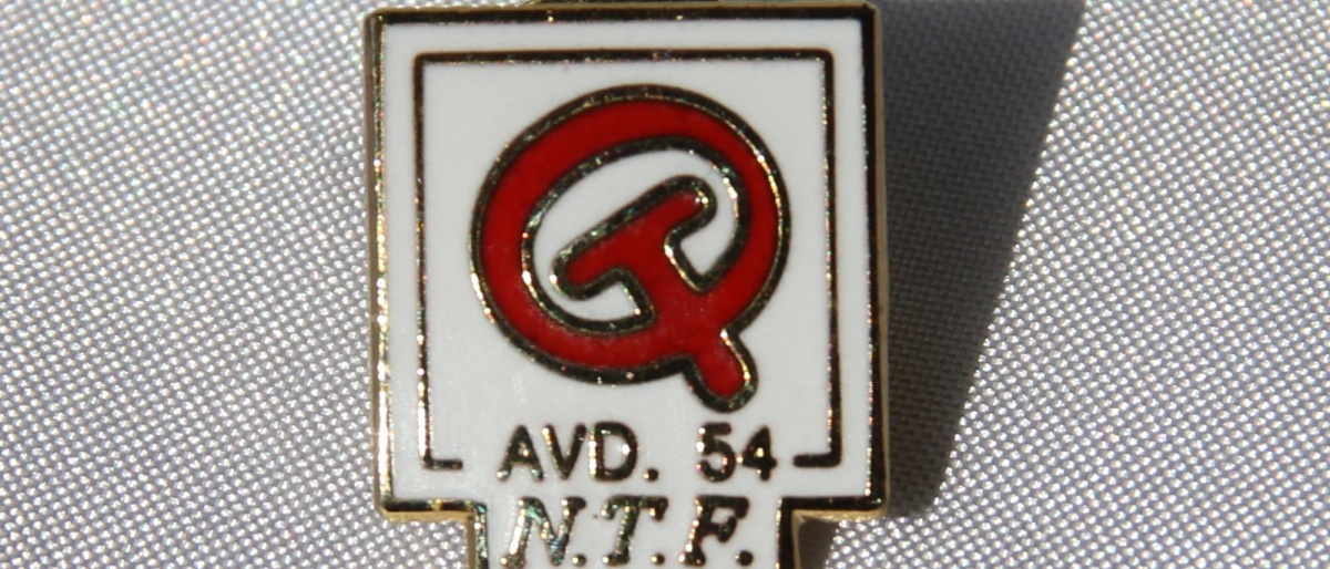 Oppland Transportarbeiderforening pin