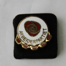 Arbeiderpartiet gull pins