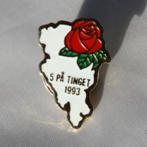 Valgkamp pin fra Oppland 5 på tinget 1993