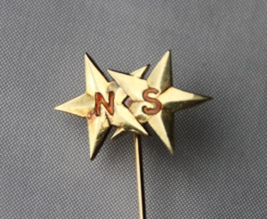 Nål fra Norsk Styrmannsforbund (sannsynligvis for 25 års medlemskap siden nålen er i gull (585)