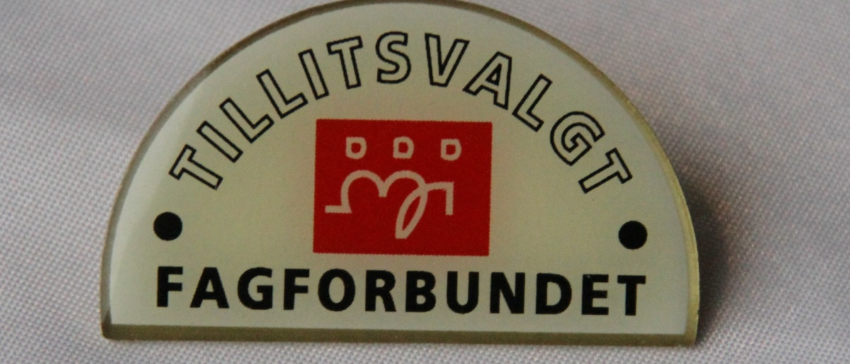 Pin for tillitsvalgte i Fagforbundet