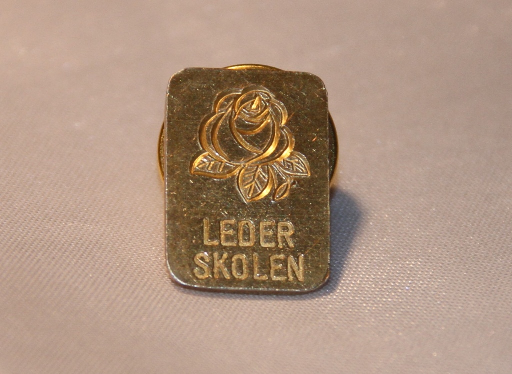 Pin fra Arbeiderpartiet sin lederskole