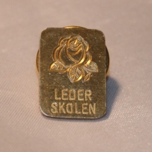 Pin fra Arbeiderpartiet sin lederskole